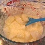 Goat\'s Milk and Lye