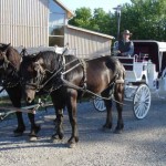 mahaffie mahaffie 150x150 Farmers Market News