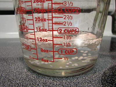 conditioner-making-process1 conditioner making process1 Making Hair Conditioner