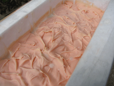 plumeria-pear-soap-ITM